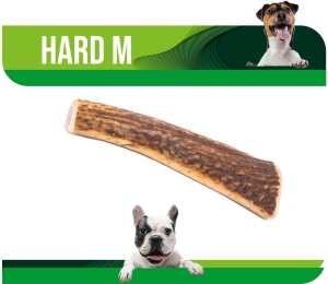 Naturalny Gryzak z Poroża Jelenia HARD M  Dł : 12 -15 cm. Dla Psa 10 - 20 kg.