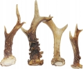 Naturalny-Gryzak-z-Poroza-Jelenia-HARD-EXTRA-M-EAN-GTIN-9123063065197.jpg