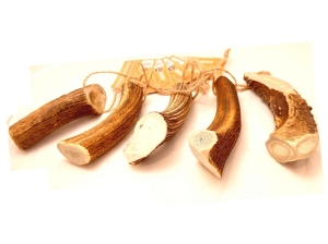 Naturalny Gryzak z Poroża Jelenia HARD XL  Dł : 18-20cm. Waga Psa: 15-30 kg.