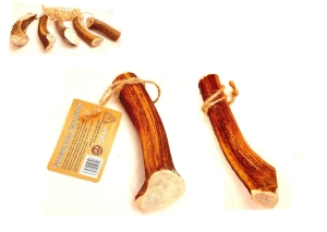 Naturalny Gryzak z Poroża Jelenia HARD XXL  Dł : + 20 cm. Waga Psa: + 30 kg.