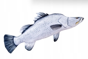 Maskotka Gaby Poduszka Pluszowa Ryba jak żywa BARRAMUNDI 95 cm NA PREZENT