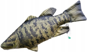 Maskotka Ryba Bass Małogębowy Poduszka Jak Żywa 67cm NA PREZENT