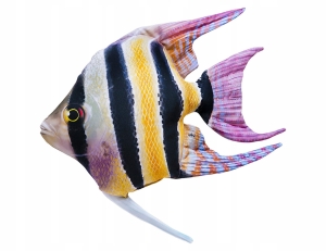 Skalar Pluszak Poduszka Ryba Jak Żywa NA PREZENT 51 cm.