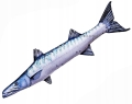 Maskotka-ryba-Gaby-Poduszka-Jak-Zywa-Barrakuda-110-cm-NA-PREZENT-EAN-GTIN-5905279175440 (1).jpeg
