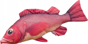 Maskotka Poduszka Ryba Jak Żywa Gaby Karmazyn Mentela 75 cm. NA PREZENT