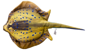 Poduszka Ryba Maskotka Pluszak OGOŃCZA Płaszczka Jak Żywa 50 cm NA PREZENT