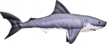 Gaby-Poduszka-Ryba-Jak-Zywy-Rekin-Ludojad-Szczeki-120-cm-NA-PREZENT.jpeg
