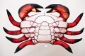 Pluszak-Poduszka-krab-czerwony-Jak-Zywy-Na-Prezent-60-cm-NA-PREZENT-Plec-chlopcy-dziewczynki.jpeg