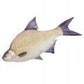 Pluszak-Ryba-Zabawka-Poduszka-Ulubiony-Leszcz-Jak-Zywy-68-cm-NA-PREZENT-Kod-producenta-GP780484.jpeg