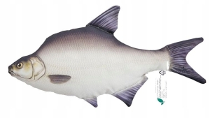 Pluszak Ryba Jak Żywa Zabawka Poduszka Leszcz Podleszczak 33 cm. PREZENT