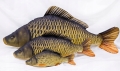 Poduszka-Antyalergiczna-Ryba-Jak-Zywa-Karp-Pelnoluski-36-cm-NA-PREZENT-Bohater-Bajka-brak.jpeg