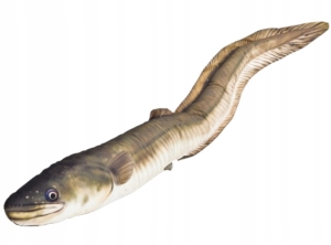 PODUSZKA MASKOTKA WĘGORZ Ryba Jak Żywy 115 cm. NA PREZENT
