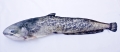 Antyalergiczna-Poduszka-Sum-Jak-Zywy-62-cm-Na-PREZENT-Kod-producenta-GP-780224.jpeg