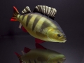 Antyalergiczna-Poduszka-Okon-Jak-Zywy-50-cm-Na-PREZENT-Kod-producenta-GP-175051.jpeg