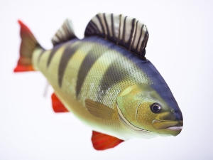 Antyalergiczna Poduszka Okoń Jak Żywy 50 cm. Na PREZENT