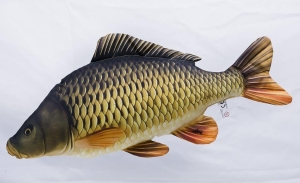 Poduszka Antyalergiczna Ryba Jak Żywa Karp Pełnołuski 64 cm. NA PREZENT