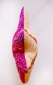 img28-1.jpg