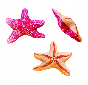 ROZGWIAZDA 50 cm Poduszka Zabawka Maskotka Jak Żywa Na Prezent Gaby