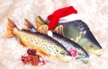 aa.jpg