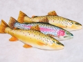 a.jpg