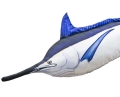 marlin-czarny-istiompax-indica 118cm2.jpg