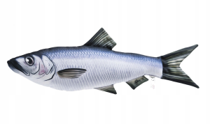 ŚLEDŹ 35 cm Poduszka Zabawka Maskotka Ryba Jak Żywa Na Prezent Gaby