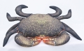 mudcrab1.jpg