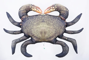 KRAB BŁOTNY 60 cm Poduszka Zabawka Maskotka Jak Żywy Na Prezent Gabyby