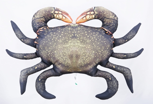 mudcrab2.jpg