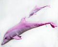 img16-1.jpg