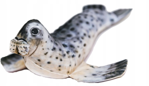 FOKA SZARA 36 cm Poduszka Zabawka Maskotka Jak Żywa Na Prezent Gaby