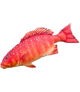 PSTRĄG KORALOWY 81 cm Poduszka Maskotka Ryba Jak Żywa Na Prezent Gaby